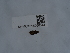  ( - NHMUK015060544)  @11 [ ] Unspecified (default): All Rights Reserved  Unspecified Unspecified