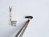  ( - NHMUK015073191)  @11 [ ] Unspecified (default): All Rights Reserved  Unspecified Unspecified