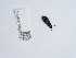  ( - NHMUK015073191)  @11 [ ] Unspecified (default): All Rights Reserved  Unspecified Unspecified