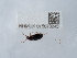  ( - NHMUK015073243)  @11 [ ] Unspecified (default): All Rights Reserved  Unspecified Unspecified