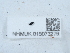  (Ochthebius poweri - NHMUK015073279)  @11 [ ] Unspecified (default): All Rights Reserved  Unspecified Unspecified