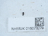  ( - NHMUK015073279)  @11 [ ] Unspecified (default): All Rights Reserved  Unspecified Unspecified