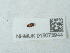  (Cis bilamellatus - NHMUK015073944)  @11 [ ] Unspecified (default): All Rights Reserved  Unspecified Unspecified