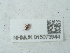  ( - NHMUK015073944)  @11 [ ] Unspecified (default): All Rights Reserved  Unspecified Unspecified