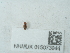  ( - NHMUK015073944)  @11 [ ] Unspecified (default): All Rights Reserved  Unspecified Unspecified