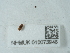  ( - NHMUK015073946)  @11 [ ] Unspecified (default): All Rights Reserved  Unspecified Unspecified