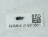  ( - NHMUK015073951)  @11 [ ] Unspecified (default): All Rights Reserved  Unspecified Unspecified