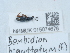  ( - NHMUK015074678)  @11 [ ] Unspecified (default): All Rights Reserved  Unspecified Unspecified