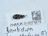  ( - NHMUK015074678)  @11 [ ] Unspecified (default): All Rights Reserved  Unspecified Unspecified