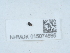  ( - NHMUK015074695)  @11 [ ] Unspecified (default): All Rights Reserved  Unspecified Unspecified