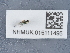  ( - NHMUK015111495)  @11 [ ] Unspecified (default): All Rights Reserved  Unspecified Unspecified
