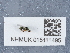  ( - NHMUK015111495)  @11 [ ] Unspecified (default): All Rights Reserved  Unspecified Unspecified