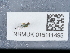  ( - NHMUK015111495)  @11 [ ] Unspecified (default): All Rights Reserved  Unspecified Unspecified