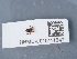  ( - NHMUK015111547)  @11 [ ] Unspecified (default): All Rights Reserved  Unspecified Unspecified