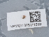  ( - NHMUK015111558)  @11 [ ] Unspecified (default): All Rights Reserved  Unspecified Unspecified