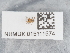  ( - NHMUK015111574)  @11 [ ] Unspecified (default): All Rights Reserved  Unspecified Unspecified