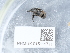  ( - NHMUK015111711)  @11 [ ] Unspecified (default): All Rights Reserved  Unspecified Unspecified