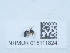  (Pseudoneuroterus - NHMUK015111824)  @11 [ ] Unspecified (default): All Rights Reserved  Unspecified Unspecified