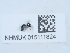  ( - NHMUK015111824)  @11 [ ] Unspecified (default): All Rights Reserved  Unspecified Unspecified