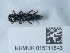  ( - NHMUK015111843)  @11 [ ] Unspecified (default): All Rights Reserved  Unspecified Unspecified