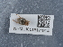  ( - NHMUK015111914)  @11 [ ] Unspecified (default): All Rights Reserved  Unspecified Unspecified