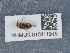  ( - NHMUK015111915)  @11 [ ] Unspecified (default): All Rights Reserved  Unspecified Unspecified