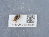  ( - NHMUK015111916)  @11 [ ] Unspecified (default): All Rights Reserved  Unspecified Unspecified