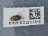  ( - NHMUK015111918)  @11 [ ] Unspecified (default): All Rights Reserved  Unspecified Unspecified