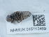  ( - NHMUK015112459)  @11 [ ] Unspecified (default): All Rights Reserved  Unspecified Unspecified