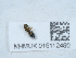  ( - NHMUK015112460)  @11 [ ] Unspecified (default): All Rights Reserved  Unspecified Unspecified