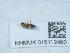  ( - NHMUK015112460)  @11 [ ] Unspecified (default): All Rights Reserved  Unspecified Unspecified