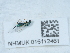  ( - NHMUK015112461)  @11 [ ] Unspecified (default): All Rights Reserved  Unspecified Unspecified