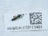  ( - NHMUK015112461)  @11 [ ] Unspecified (default): All Rights Reserved  Unspecified Unspecified