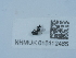  (Eurytoma brunniventris - NHMUK015112465)  @11 [ ] Unspecified (default): All Rights Reserved  Unspecified Unspecified