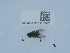  ( - NHMUK015112467)  @11 [ ] Unspecified (default): All Rights Reserved  Unspecified Unspecified