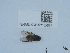  ( - NHMUK015112467)  @11 [ ] Unspecified (default): All Rights Reserved  Unspecified Unspecified