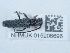  ( - NHMUK015206696)  @11 [ ] Unspecified (default): All Rights Reserved  Unspecified Unspecified