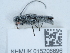  ( - NHMUK015206696)  @11 [ ] Unspecified (default): All Rights Reserved  Unspecified Unspecified