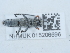  ( - NHMUK015206696)  @11 [ ] Unspecified (default): All Rights Reserved  Unspecified Unspecified
