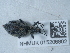  ( - NHMUK015206802)  @11 [ ] Unspecified (default): All Rights Reserved  Unspecified Unspecified