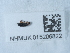  ( - NHMUK015206822)  @11 [ ] Unspecified (default): All Rights Reserved  Unspecified Unspecified