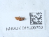  ( - NHMUK015206860)  @11 [ ] Unspecified (default): All Rights Reserved  Unspecified Unspecified