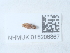  ( - NHMUK015206867)  @11 [ ] Unspecified (default): All Rights Reserved  Unspecified Unspecified