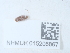  ( - NHMUK015206867)  @11 [ ] Unspecified (default): All Rights Reserved  Unspecified Unspecified