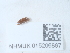  ( - NHMUK015206867)  @11 [ ] Unspecified (default): All Rights Reserved  Unspecified Unspecified