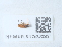  ( - NHMUK015206867)  @11 [ ] Unspecified (default): All Rights Reserved  Unspecified Unspecified