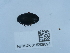  ( - NHMUK015209893)  @11 [ ] Unspecified (default): All Rights Reserved  Unspecified Unspecified