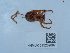  ( - NHMUK015209897)  @11 [ ] Unspecified (default): All Rights Reserved  Unspecified Unspecified
