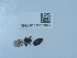  ( - NHMUK015209899)  @11 [ ] Unspecified (default): All Rights Reserved  Unspecified Unspecified