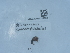  ( - NHMUK015209903)  @11 [ ] Unspecified (default): All Rights Reserved  Unspecified Unspecified